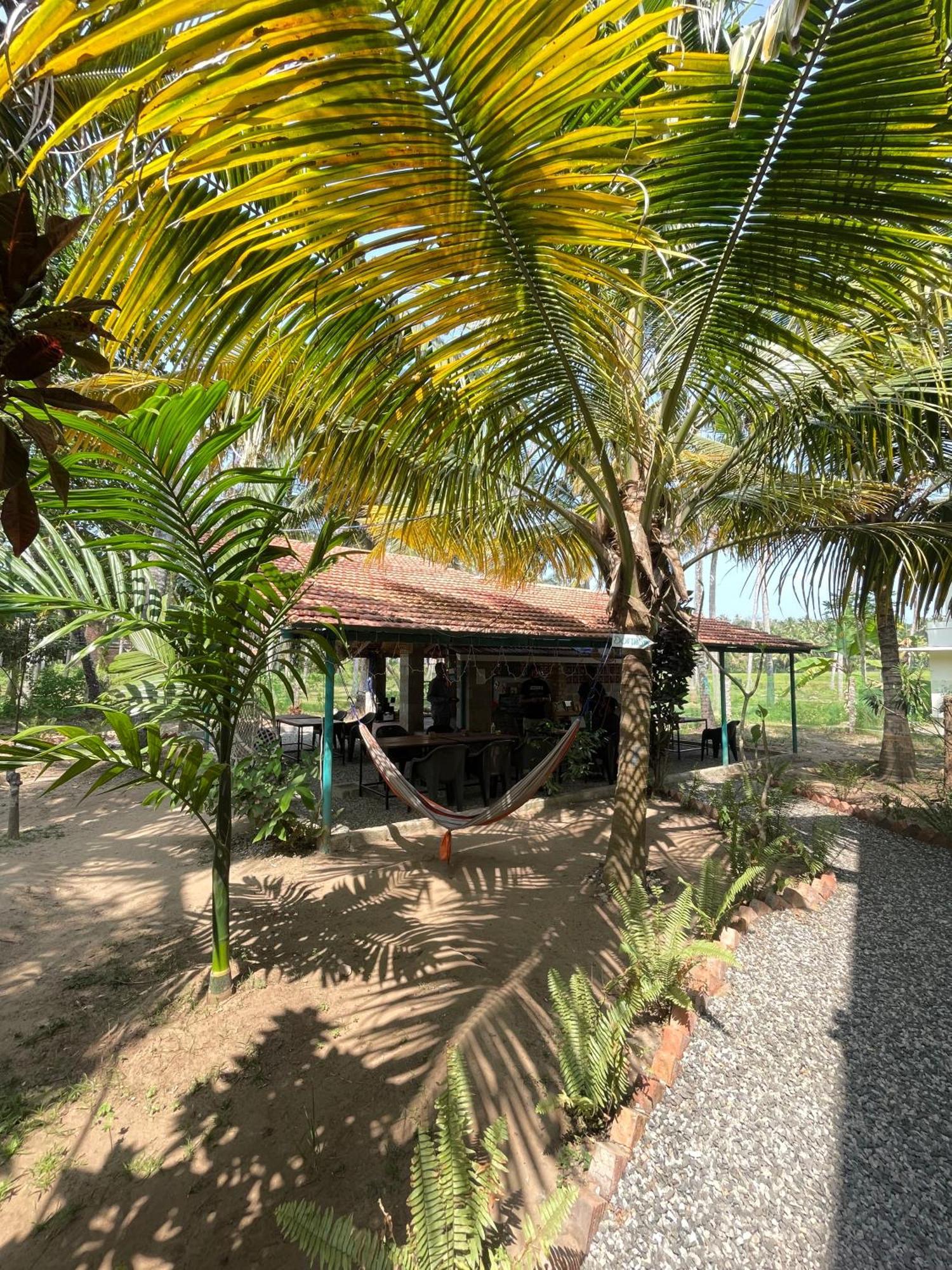 Cliff & Coral Hostel Varkala Εξωτερικό φωτογραφία