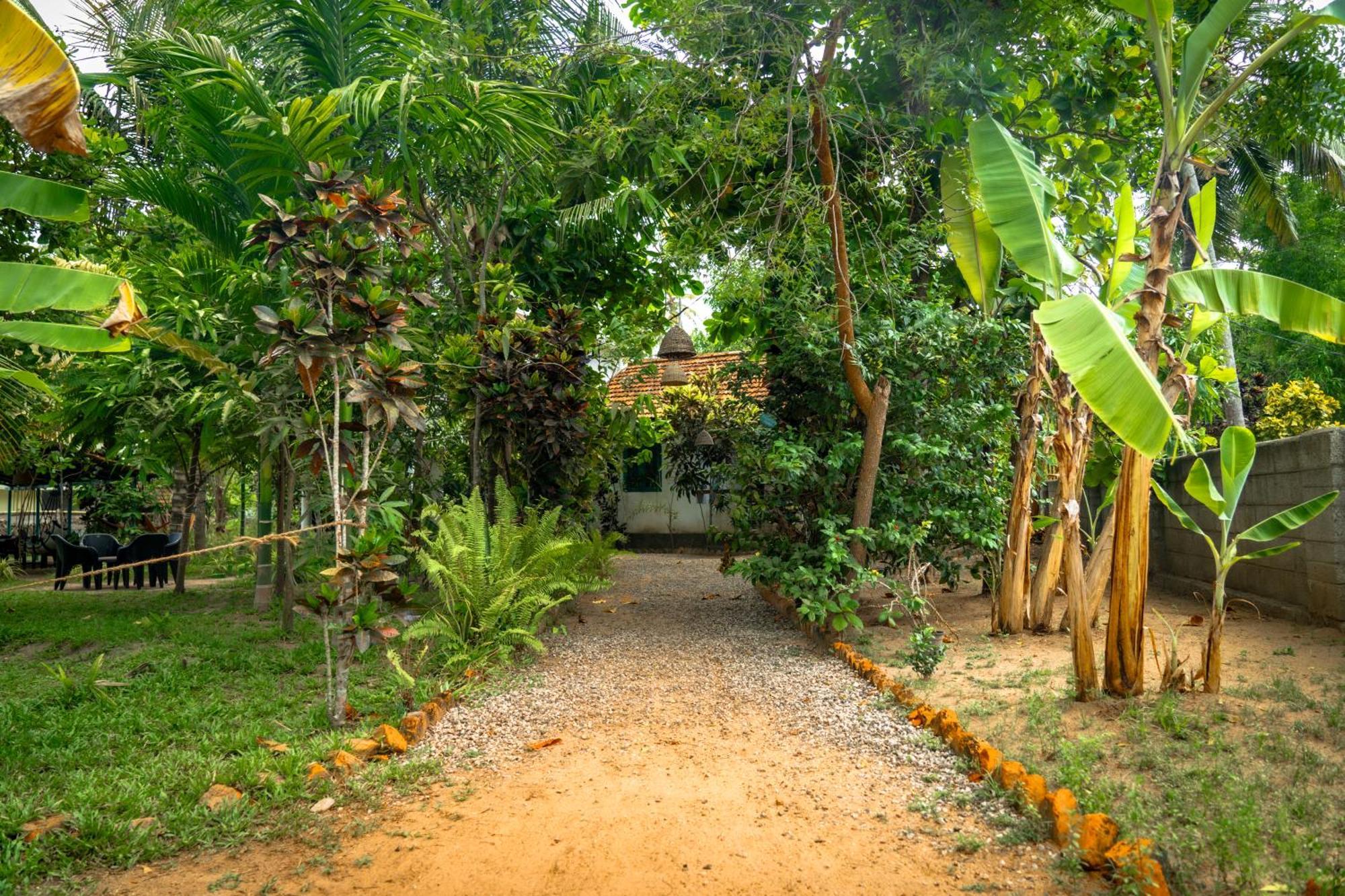 Cliff & Coral Hostel Varkala Εξωτερικό φωτογραφία